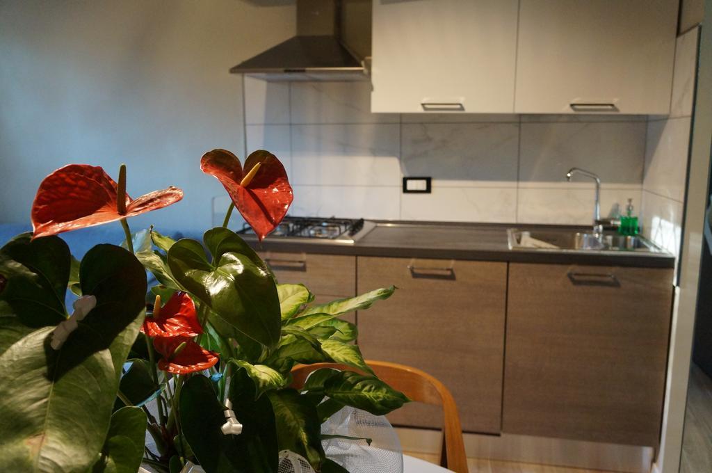 San Donato 40 Apartment Bologna Cameră foto